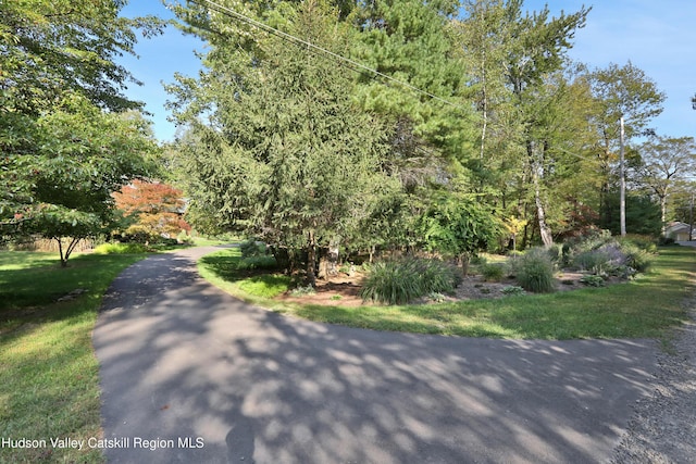 4 Mountain View Dr, Kerhonkson, NY 12446 - view of street