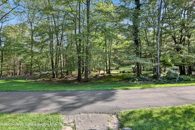 4 Mountain View Dr, Kerhonkson, NY 12446 - view of road