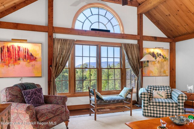 living room featuring beamed ceiling, a mountain view, high vaulted ceiling, and a wealth of natural light