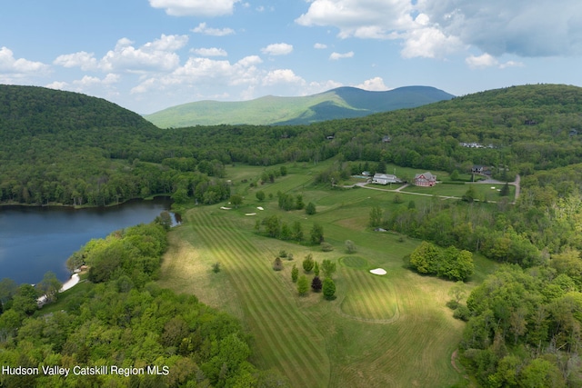 birds eye view of property with a water and mountain view