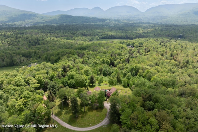 bird's eye view featuring a mountain view