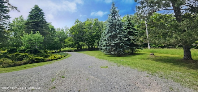 490 Mill St, Windham, NY 12496 - view of dirt / gravel road with a forest view