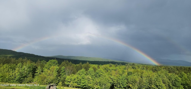 490 Mill St, Windham, NY 12496 - mountain view with a heavily wooded area