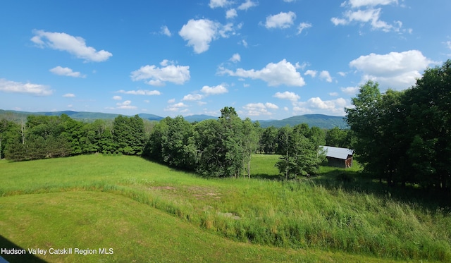 490 Mill St, Windham, NY 12496 - view of mountain backdrop featuring rural landscape