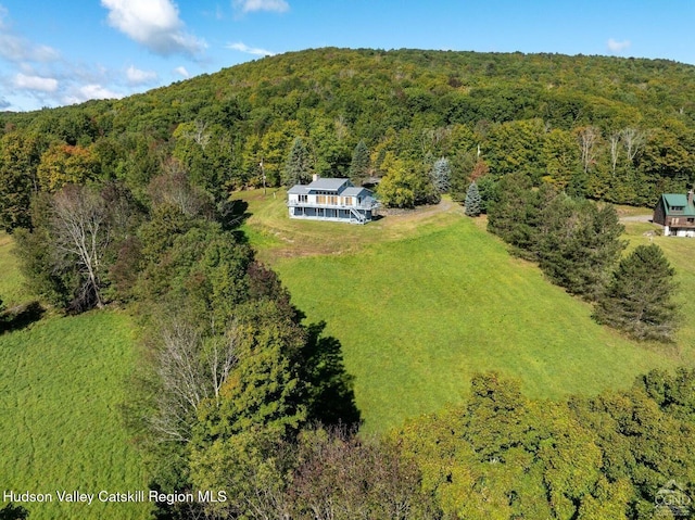 490 Mill St, Windham, NY 12496 - view of subject property with a forest