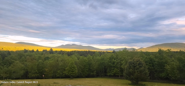 490 Mill St, Windham, NY 12496 - view of mountain background with a heavily wooded area