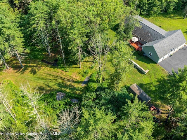 15 Pine St, Cairo, NY 12413 - photo 44