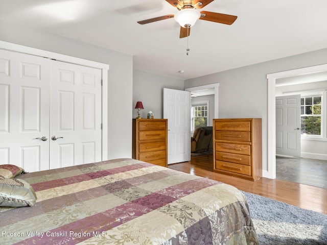 15 Pine St, Cairo, NY 12413 - photo 32