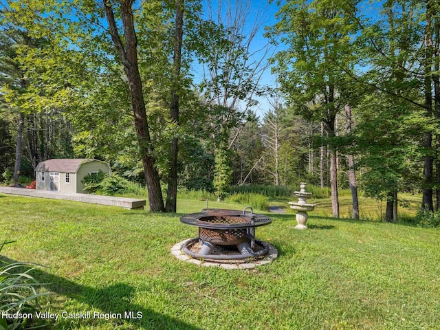 15 Pine St, Cairo, NY 12413 - photo 43