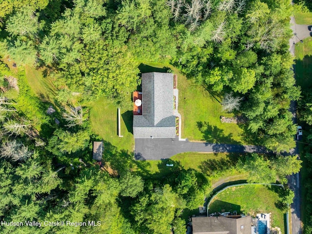 15 Pine St, Cairo, NY 12413 - photo 39