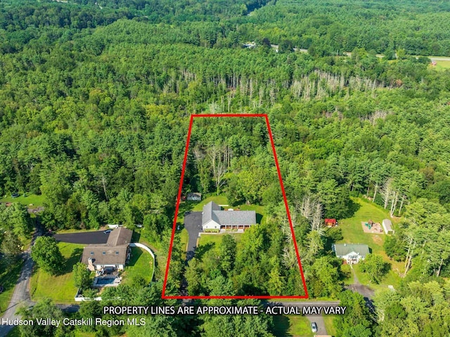 15 Pine St, Cairo, NY 12413 - photo 38