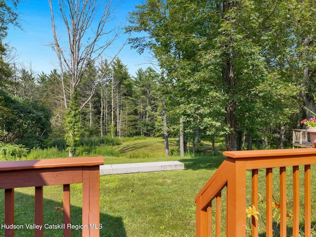15 Pine St, Cairo, NY 12413 - photo 45