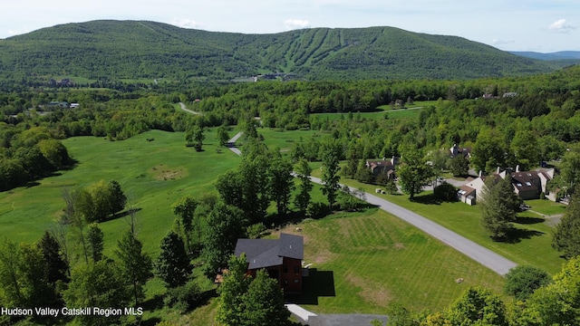 4 Goff Rd, Windham, NY 12496 - aerial view of property's location with a mountain backdrop and a forest
