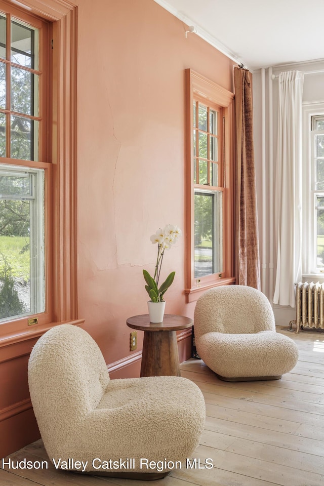 131 William St, Catskill, NY 12414 - living area with radiator and hardwood / wood-style floors