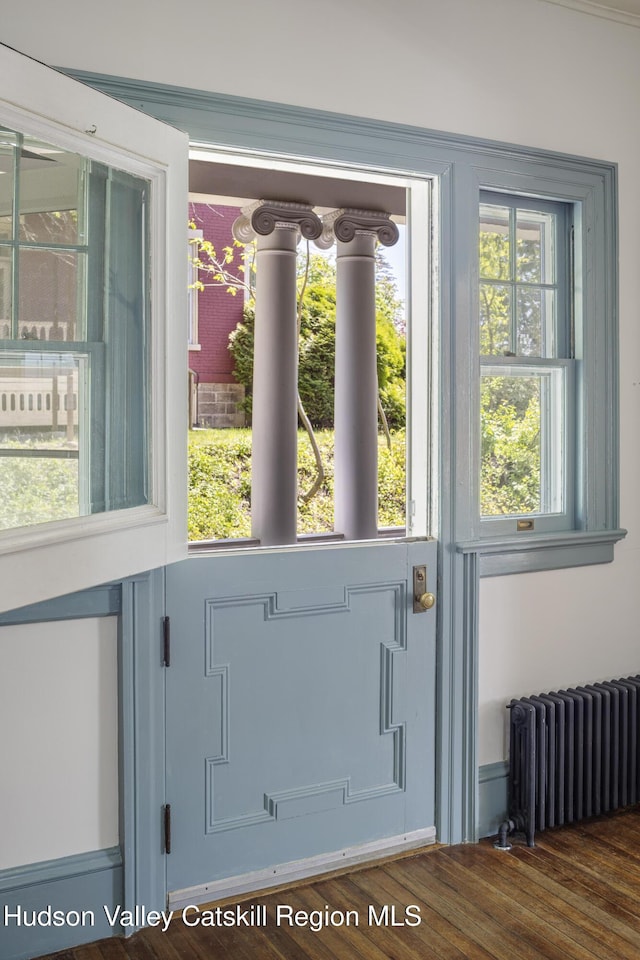 131 William St, Catskill, NY 12414 - doorway to outside with radiator and wood finished floors