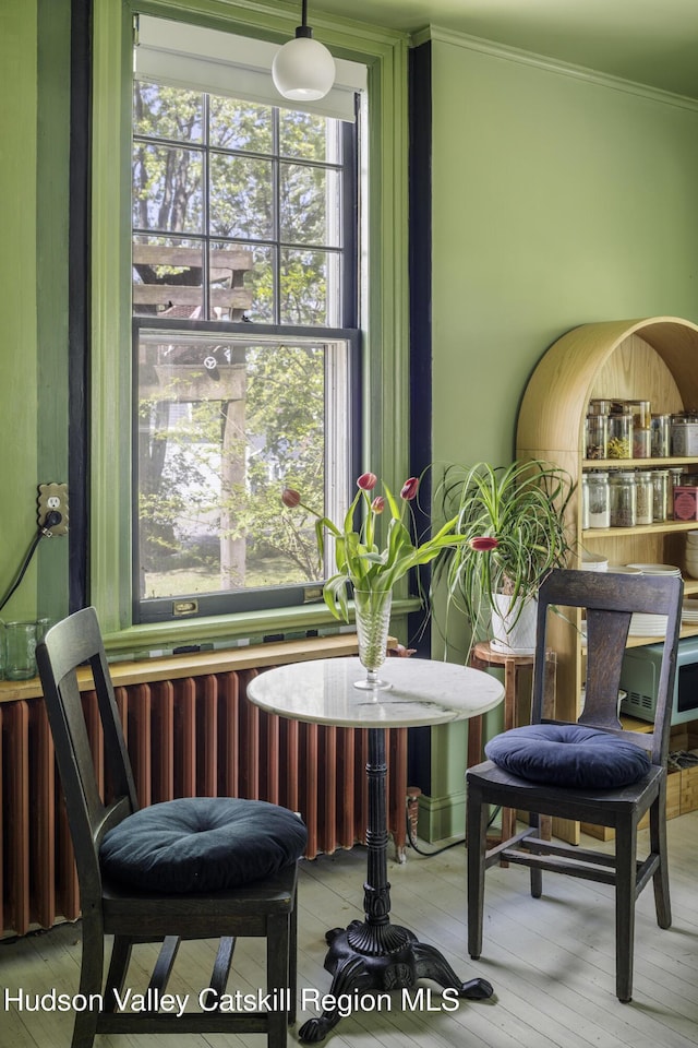 131 William St, Catskill, NY 12414 - living area featuring ornamental molding and wood finished floors