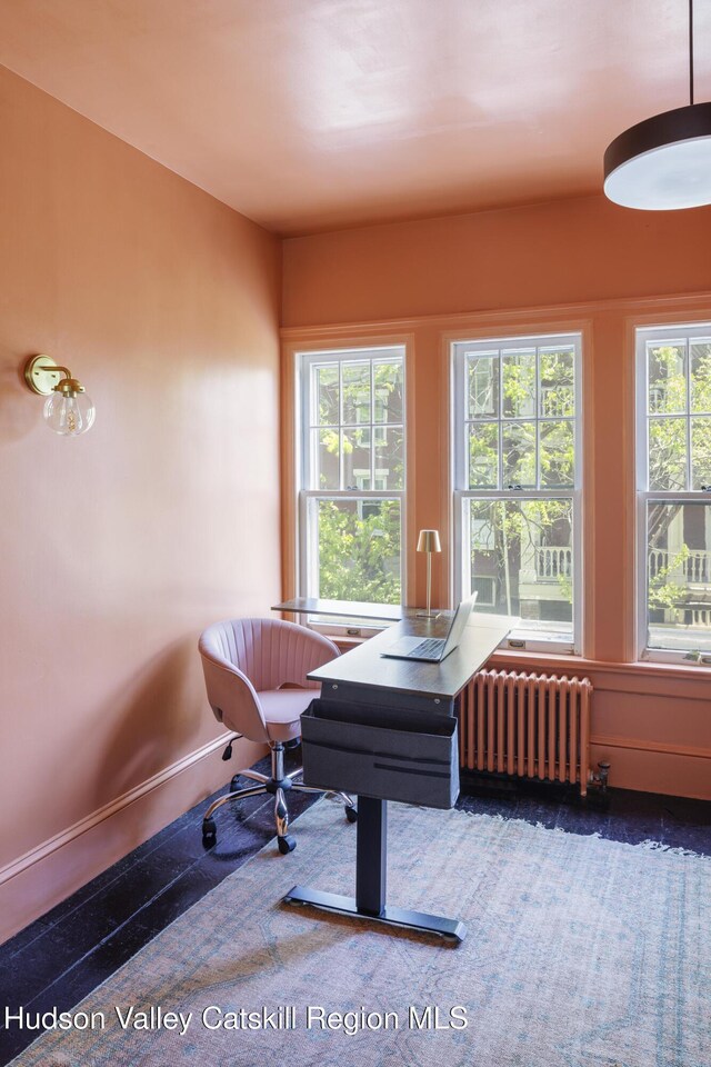 131 William St, Catskill, NY 12414 - office featuring radiator and healthy amount of natural light