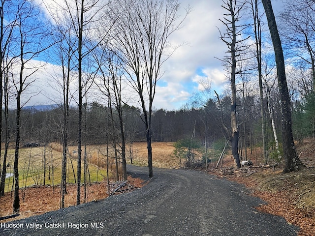 Listing photo 2 for 000 Mossy Hill Rd, Catskill NY 12414