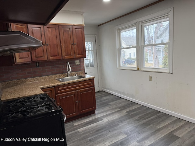 22 Cedar St, Saugerties, NY 12477 - kitchen featuring sink, black range with gas stovetop, wood-type flooring, and ornamental molding
