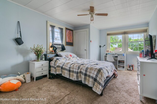 24 Park St, Kingston, NY 12401 - photo 15