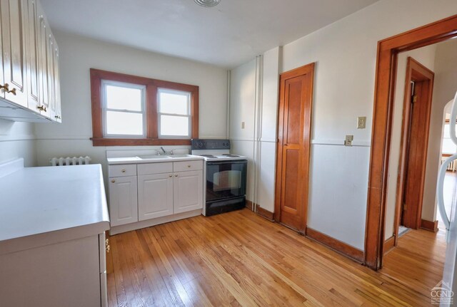 825 Union St, Hudson, NY 12534 - clothes washing area with light wood finished floors, radiator, and a sink