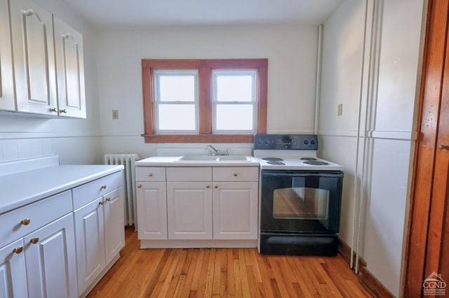 825 Union St, Hudson, NY 12534 - laundry area with a sink, radiator, and light wood-type flooring