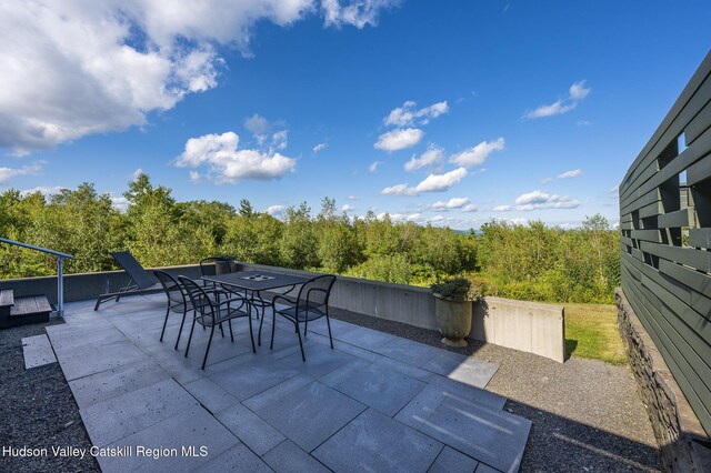 292 White Hill Ln, Hillsdale, NY 12529 - photo 31