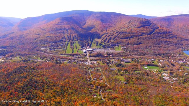 56 Highlands Dr Unit F3, Hunter, NY 12442 - view of mountain background
