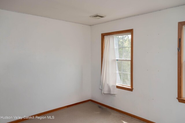 226 Blue Mountain Rd, Saugerties, NY 12477 - photo 17