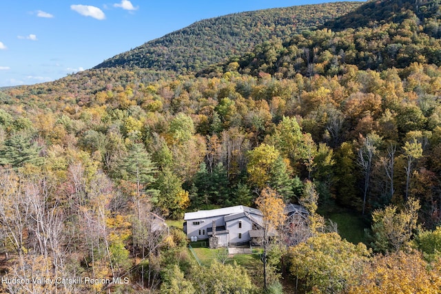 birds eye view of property featuring a mountain view