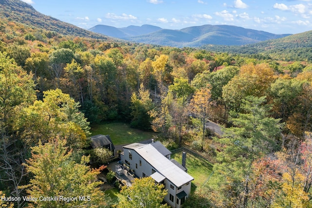 birds eye view of property featuring a mountain view