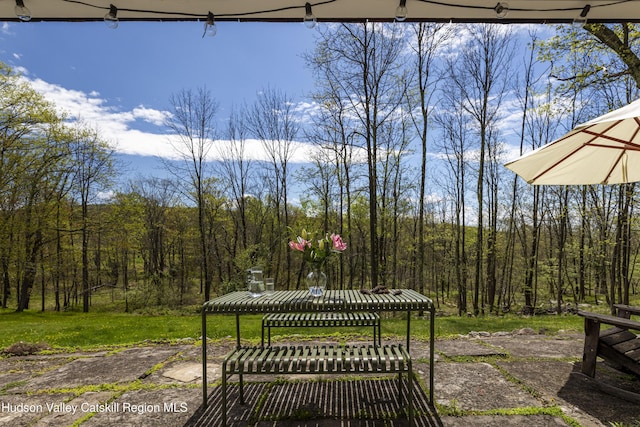 57 Dellenbaugh Rd, Cragsmoor, NY 12420 - photo 24
