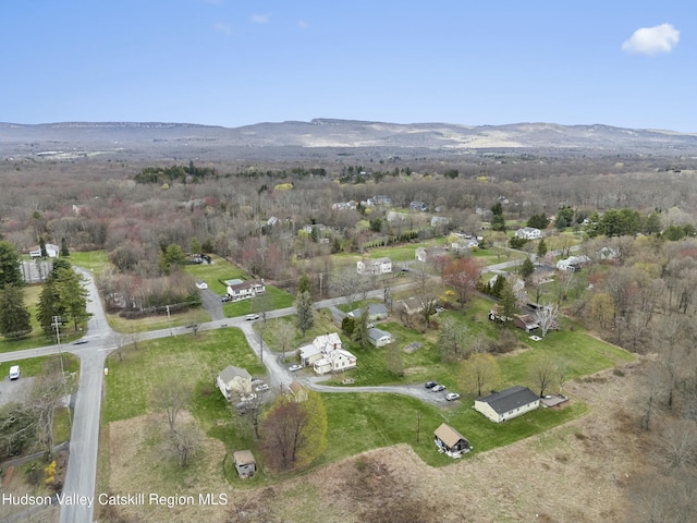 birds eye view of property featuring a mountain view