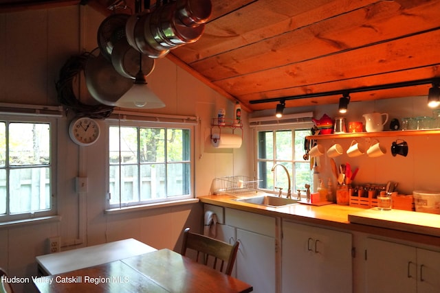 3 Dymond Rd, Kerhonkson, NY 12446 - kitchen with a sink, rail lighting, light countertops, plenty of natural light, and lofted ceiling