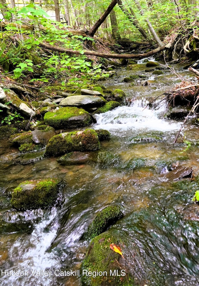 3 Dymond Rd, Kerhonkson, NY 12446 - view of local wilderness