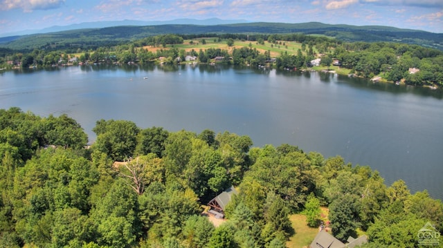 250A Island Dr, Craryville, NY 12521 - photo 12