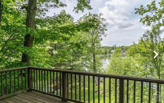 250A Island Dr, Craryville, NY 12521 - photo 10
