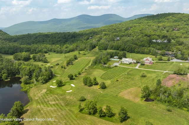 101 Kip Rd, Tannersville, NY 12485 - photo 44