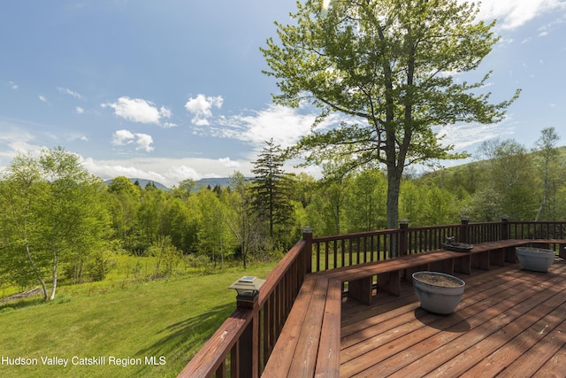 101 Kip Rd, Tannersville, NY 12485 - photo 36