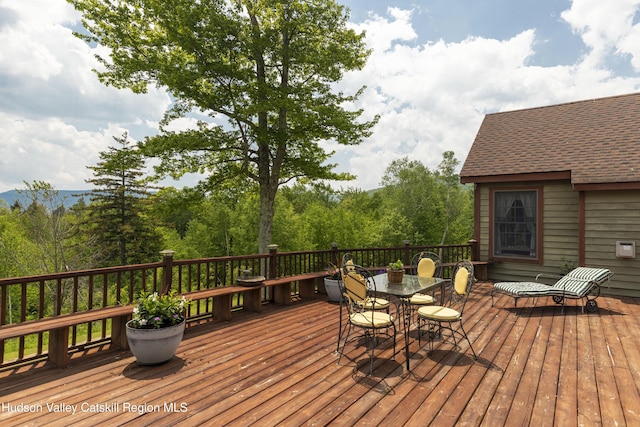 101 Kip Rd, Tannersville, NY 12485 - photo 38