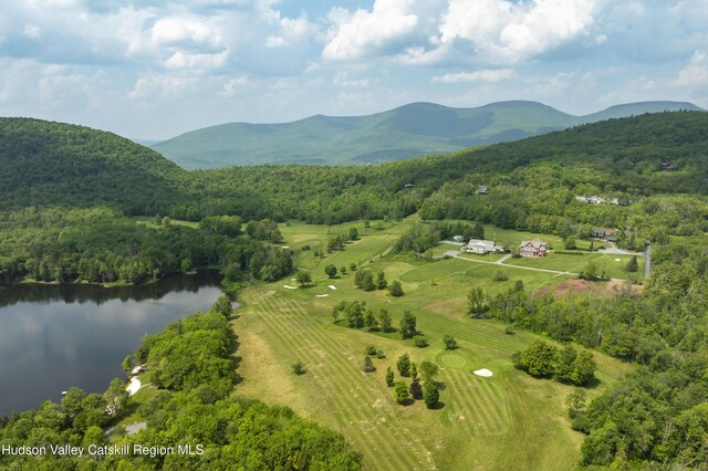 101 Kip Rd, Tannersville, NY 12485 - photo 43