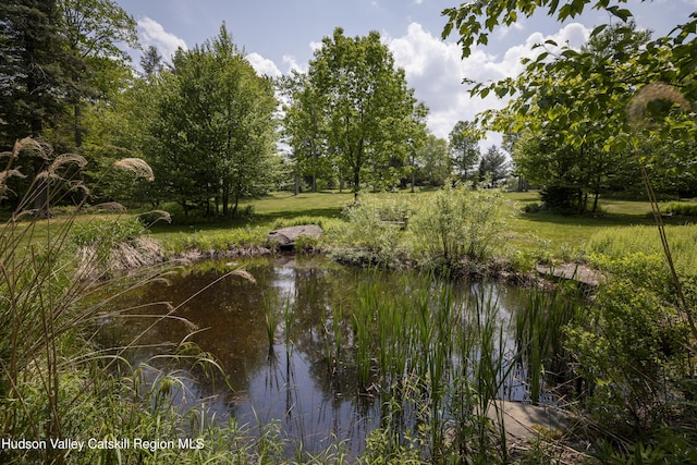 101 Kip Rd, Tannersville, NY 12485 - photo 47