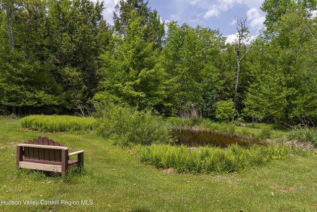 101 Kip Rd, Tannersville, NY 12485 - photo 46