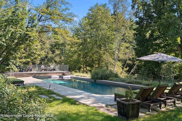 view of swimming pool featuring a patio