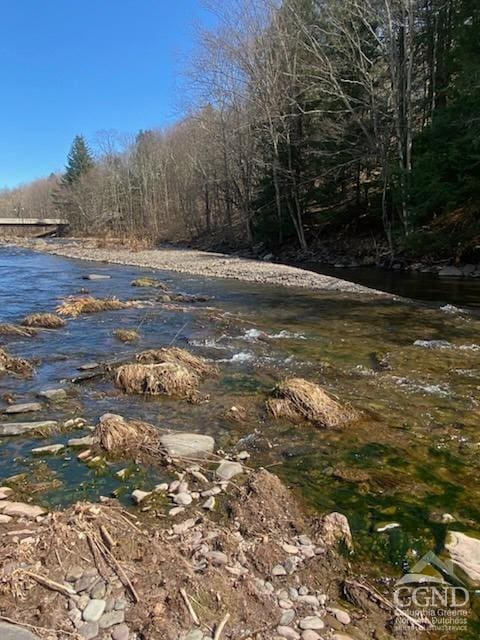 view of local wilderness