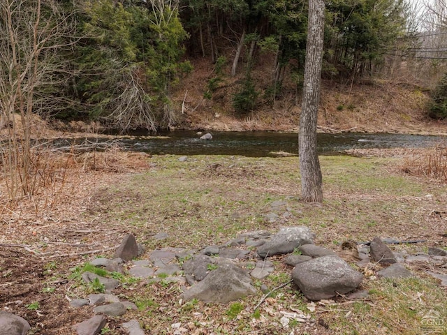 view of local wilderness