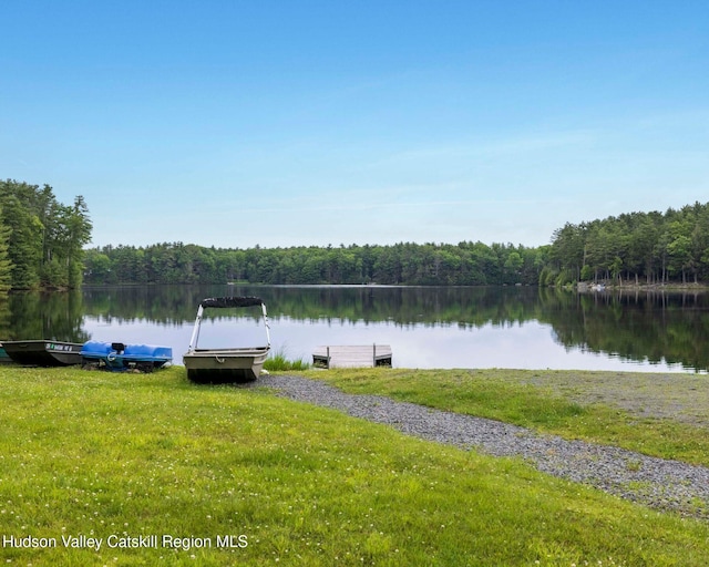 12 Summit Dr, Yulan, NY 12792 - photo 15