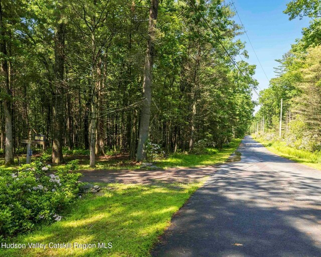 12 Summit Dr, Yulan, NY 12792 - photo 16