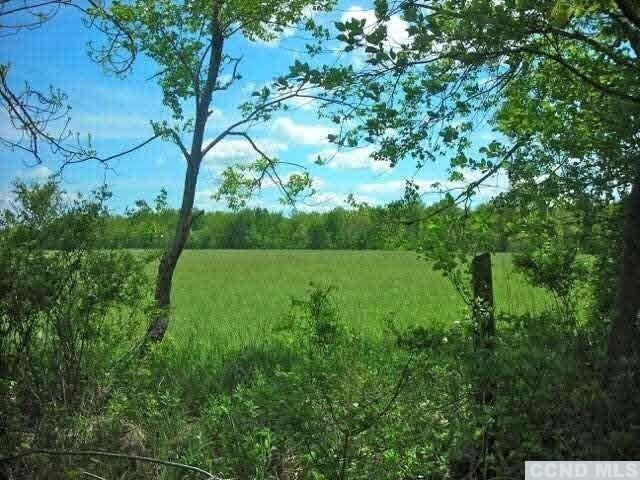 0 Skunks Misery Rd, Millerton, NY 12546 - photo 6
