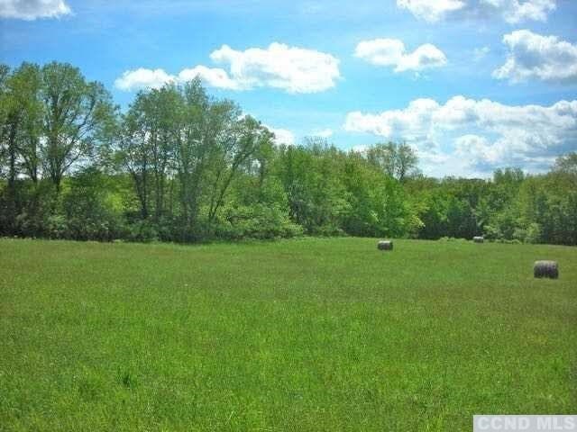 0 Skunks Misery Rd, Millerton, NY 12546 - photo 5
